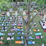 International Yoga Day